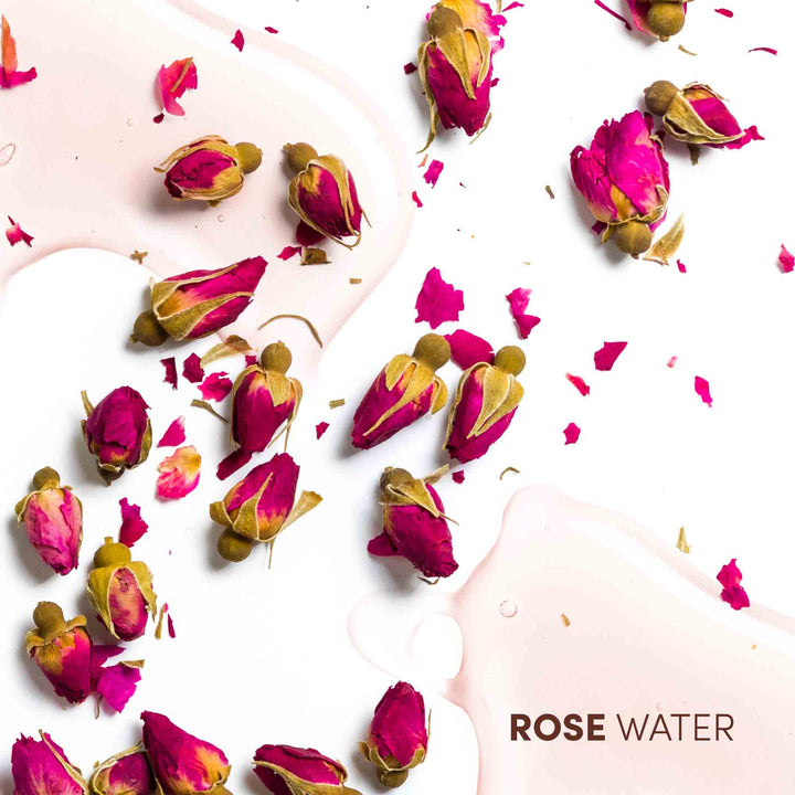 MIZANI Rose H20 Hairdress Leave In Conditioner