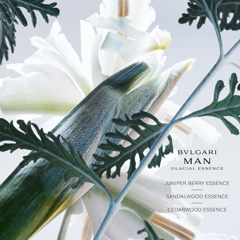 Bvlgari Man Glacial Essence Eau de Parfum 100ml